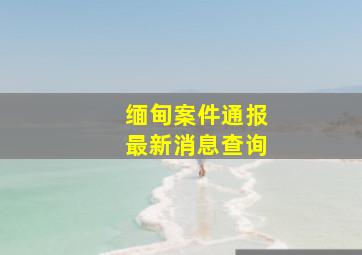 缅甸案件通报最新消息查询