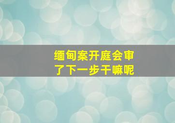 缅甸案开庭会审了下一步干嘛呢