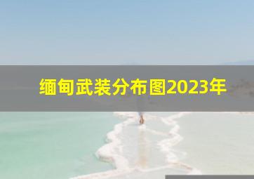 缅甸武装分布图2023年