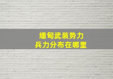 缅甸武装势力兵力分布在哪里