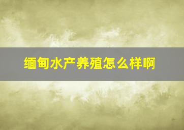 缅甸水产养殖怎么样啊