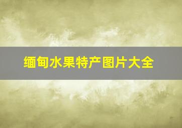 缅甸水果特产图片大全