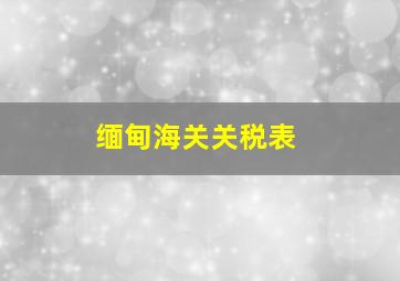 缅甸海关关税表