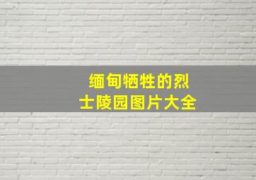 缅甸牺牲的烈士陵园图片大全