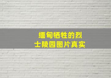 缅甸牺牲的烈士陵园图片真实