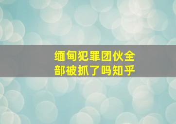 缅甸犯罪团伙全部被抓了吗知乎