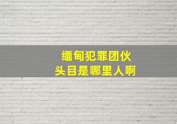 缅甸犯罪团伙头目是哪里人啊