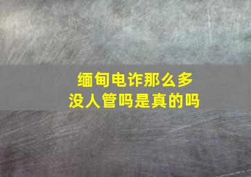 缅甸电诈那么多没人管吗是真的吗