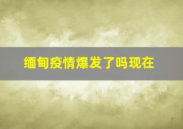 缅甸疫情爆发了吗现在