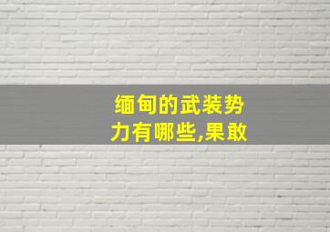 缅甸的武装势力有哪些,果敢