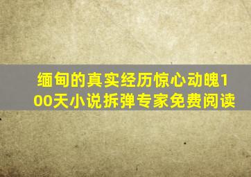 缅甸的真实经历惊心动魄100天小说拆弹专家免费阅读