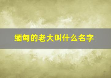 缅甸的老大叫什么名字