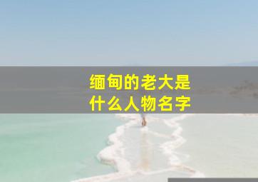 缅甸的老大是什么人物名字