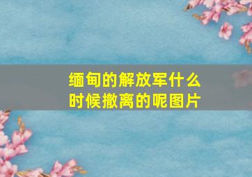 缅甸的解放军什么时候撤离的呢图片