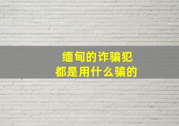 缅甸的诈骗犯都是用什么骗的