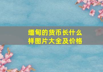 缅甸的货币长什么样图片大全及价格