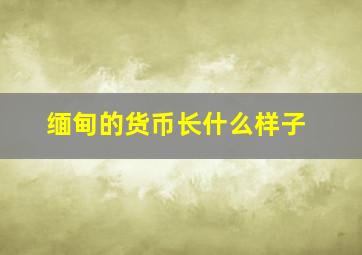 缅甸的货币长什么样子