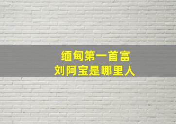 缅甸第一首富刘阿宝是哪里人