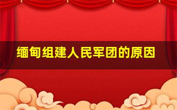 缅甸组建人民军团的原因