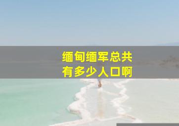 缅甸缅军总共有多少人口啊