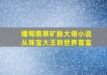 缅甸翡翠矿脉大佬小说从珠宝大王到世界首富