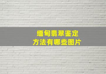 缅甸翡翠鉴定方法有哪些图片