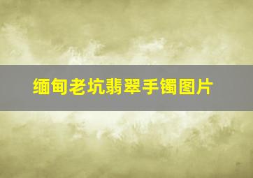 缅甸老坑翡翠手镯图片