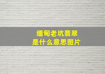 缅甸老坑翡翠是什么意思图片