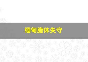 缅甸腊休失守