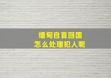 缅甸自首回国怎么处理犯人呢