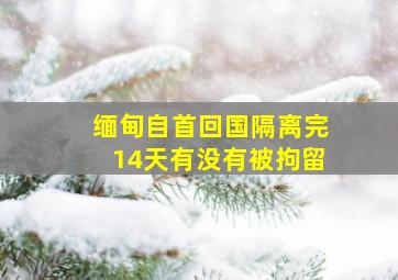 缅甸自首回国隔离完14天有没有被拘留