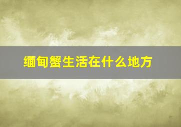 缅甸蟹生活在什么地方