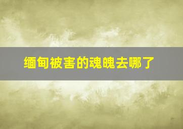 缅甸被害的魂魄去哪了