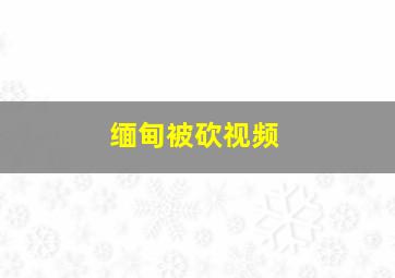 缅甸被砍视频