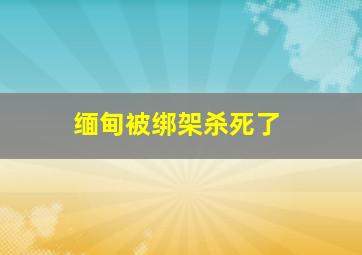 缅甸被绑架杀死了