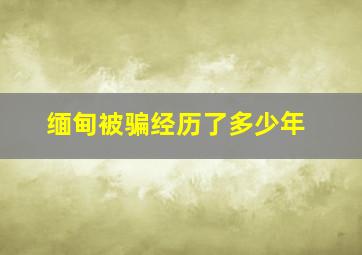 缅甸被骗经历了多少年