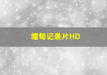 缅甸记录片HD