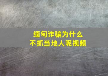 缅甸诈骗为什么不抓当地人呢视频