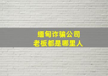 缅甸诈骗公司老板都是哪里人