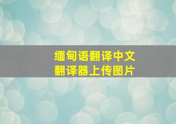 缅甸语翻译中文翻译器上传图片