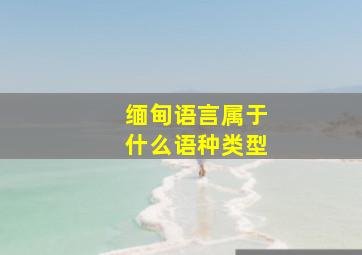 缅甸语言属于什么语种类型