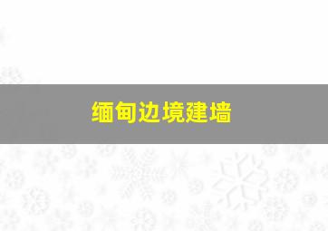 缅甸边境建墙