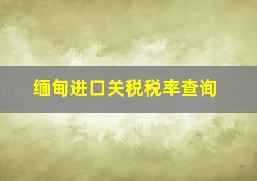 缅甸进口关税税率查询