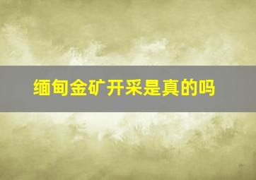 缅甸金矿开采是真的吗