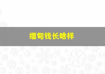 缅甸钱长啥样