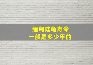 缅甸陆龟寿命一般是多少年的