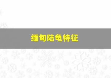 缅甸陆龟特征