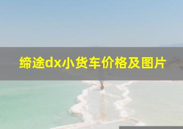 缔途dx小货车价格及图片