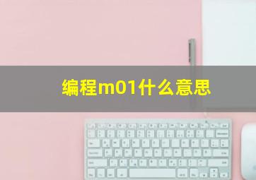 编程m01什么意思