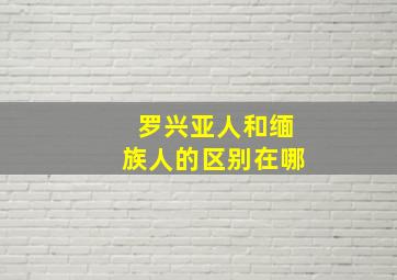 罗兴亚人和缅族人的区别在哪